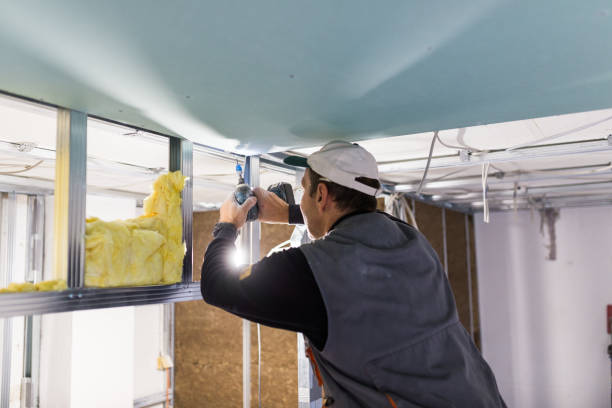 Best Attic Insulation Installation  in Chester, IL