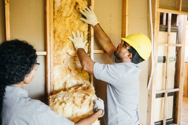 Best Wall Insulation Installation  in Chester, IL